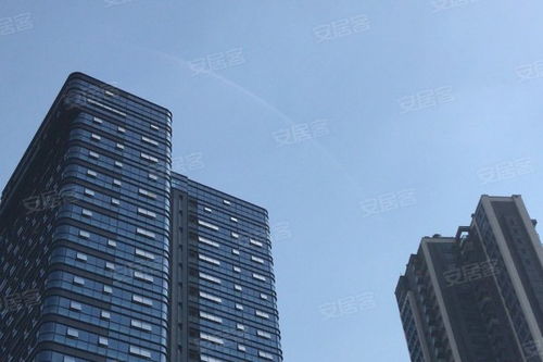金地壹粵府綜合評(píng)析 優(yōu)勢(shì)、不足與市場口碑